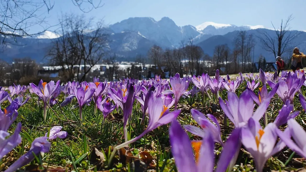 Pokoje Widokowe Szymaszkowa Zakopane 0*,  Polen